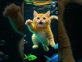 Download Lagu kit #aiandcats #animalintelligentie #kitten #o #schattig #kat #kattenkort