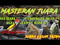 Download Lagu MIX, MASTERAN BURUNG JUARA. CELEMES DAN PELATUK