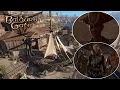Hag Support Group Baldur s Gate 3 Part 33 Tactician