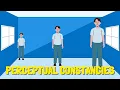 The Magic of Perceptual Constancy How We Make Sense of a Changing World Free PDF Mind Map Download