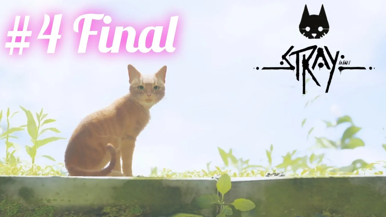 EL FINAL DE LA AVENTURA 🥲 - STRAY UN FINAL MUY BONITO 😸