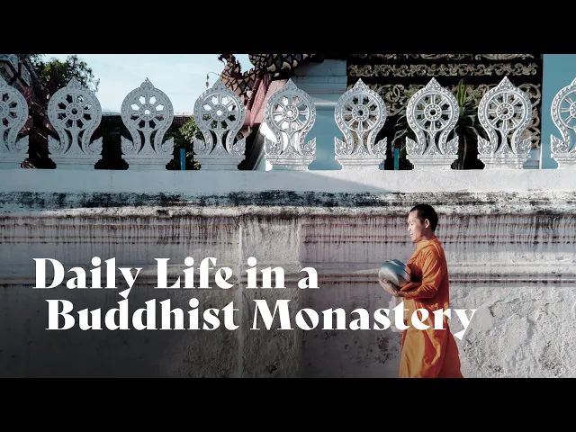 Daily Life in a Buddhist Monastery | Ajahn Amaro