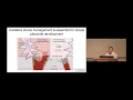 Dr Solmonson s Presentation