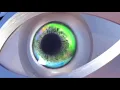 PNAU - Go Bang (Audio)