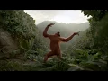 Download Lagu Birthday - Orangutan Dance - Beatles Cover