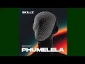 Lagu Skillz \u0026 Fezeka Dlamini - Ngonakele (feat. Le Soleil, Ta Bongz \u0026 Ciniso) [Official Audio]