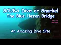 SCUBA Diving East Side Blue Heron Bridge USA Shore Dive