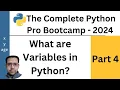 What are Variables in Python - With Examples