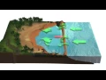 How rip currents are formed and how to avoid drowning