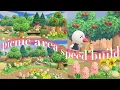 picnic area speed build animal crossing new horizons