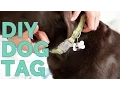 DIY Metal Stamped Dog ID Tag Tutorial
