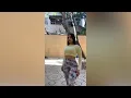 Showing Off Dance Skills - Caomi Madalis