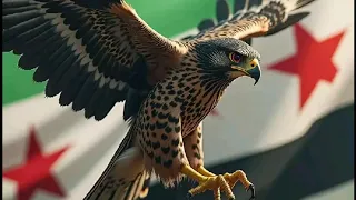 Omar Agha El Tair El Hor عمر اغا الطير الحر اغنية الثورة السورية 