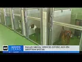 Dallas Animal Services asking for help to clear the shelter
