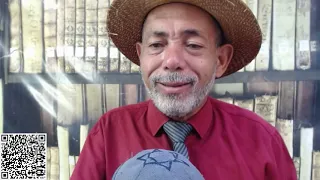 sonhar com animais feridos quando o animal representa você ou um pessoa ou  grupo significados