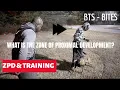 BTS Bites - Zone of Proximal Development