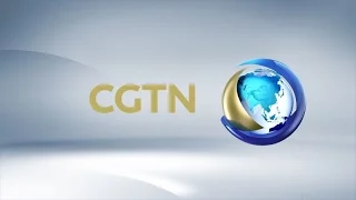 A Preview Of Foreign Minister Wang Yi S Press Conference 