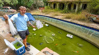 Saving TURTLES from ABANDONED Backyard POOL!!