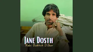 ایران ای جانیک ای 