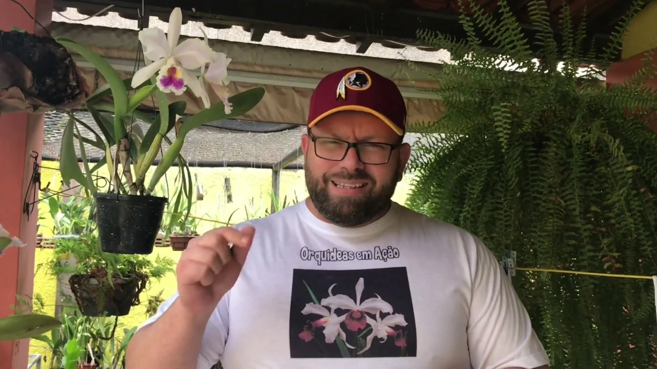 CRIADOR DO ADUBO FERT PLUS MOSTRA COMO ADUBAR SUAS ORQUÍDEAS ORQUÍDEAS EM AÇÃO!