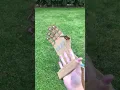 How to Make a Robotic Arm from Cardboard