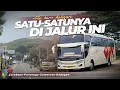 Lagu [ SURABAYA-BADEGAN ] RUTE BARU SAMPAI UJUNG PONOROGO !! 🔥 Trip Naik Bus KALISARI 