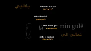 ترند الاغنية الكردية كورمانجي هارا كولي                    شاشه سوداء ستوري انستا بدون حقوق      دندنها
