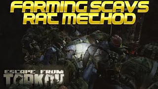 Escape From Tarkov - MARKED AND CURSED SCAV FARMING METHOD