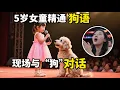 5岁女童精通狗语,现场与“狗”对话,观众看呆了!这种天赋太神奇【加油好宝贝】