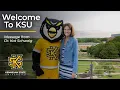 Welcome to Owl Nation