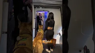 أحضرت معها كلب عملاق للطائرة    دندنها