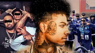 BlueFaces attachment to one of the most dangerous gangs in midtown LA Who are the SchoolYard Crips