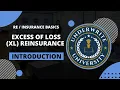 Excess of Loss Reinsurance Introduction Comprehensive Course for Beginners in Reinsurance