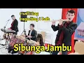 Download Lagu Tor Tor Sibunga jambu uning uningan Batak gultom seruling ful bas