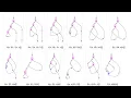 Livestream Live Coding Nik Murzin Lambdas and String Diagrams