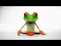 Peace Frog Specialty Cleaning Carpet Cleaning Near Me Austin Round Rock Georgetown Texas