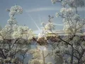 Constant Smiles - Only Love