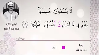 الشيخ عبده عبد الراضي ختام سورة الأنبياء أمين القراءات أوجه الطيبة المكنونة تلاوة رآئعة 