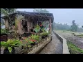 Download Lagu Duduk Santai Ketika Hujan Deras, Warung Kopi Unik Samping Irigasi