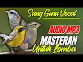 Lagu AUDIO MP3 SANG GURU VOCAL || MASTERAN BURUNG UNTUK LOMBA
