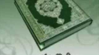 الشيخ محمد عبد الوهاب الطنطاوى الكهف ومريم 