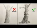 Don ts Do s How to Draw Realistic Tree Trunk Easy Step By Step Pencil Drawing Tutorial