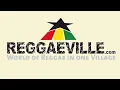 Buju Banton - Hills & Valleys [Live in Vienne, France 7/16/2009]