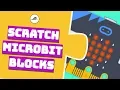 Scratch Microbit Blocks Explained What can Microbit do with Scratch
