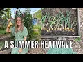 Download Lagu SUMMER HEATWAVE IN THE UK / ALLOTMENT GARDENING UK