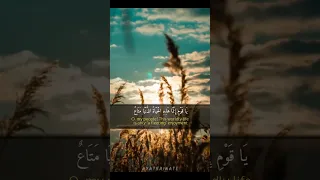 الصوت الذي سكن القلوب و ملأها خشوعا المنشاوي حالات واتساب 