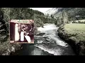 The Kilfenora Jigs - Arcady