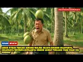 Download Lagu SOMBONG‼️Pak Lurah Fitnah Warga Miskin Pencari Burung Maling Kelapa, Padahal.. Azab Pedih menimpanya