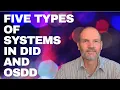 Five Types of Systems commonly seen in DID and OSDD including PDID and Polyfragmented types