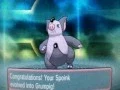 Pokemon Omega Ruby And Alpha Sapphire Spoink evolve into Grumpig